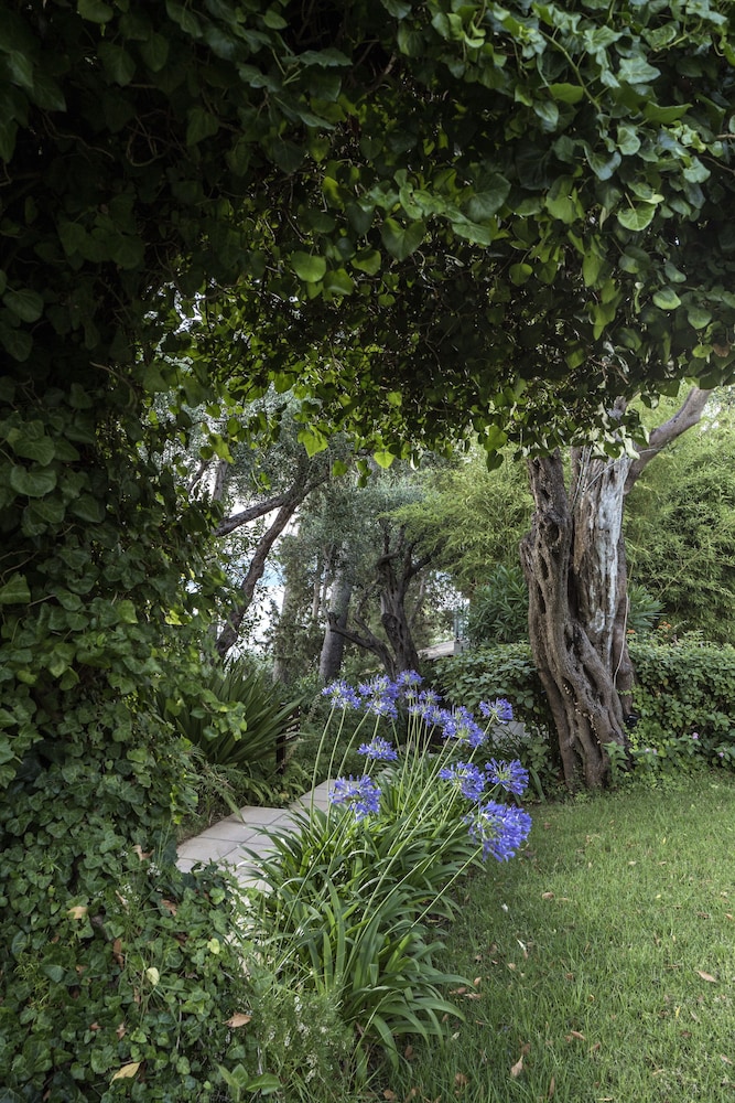 שטחי חוץ / גן