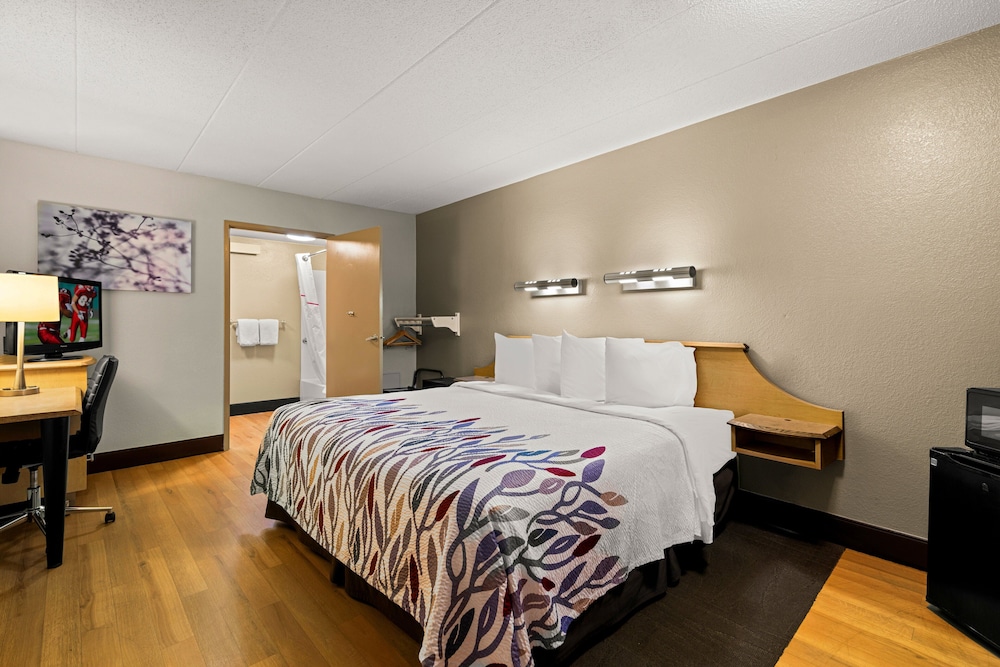 Red Roof Inn Salem - photo 4