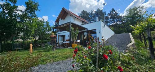Szilva és Dió Présház - last minute hotel in Unknown City