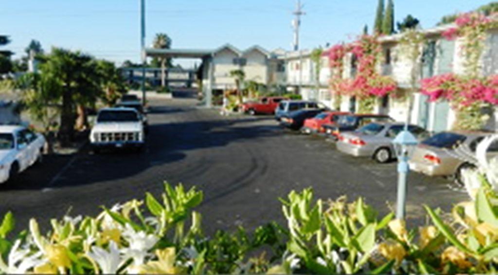Antioch Executive Inn - photo 8