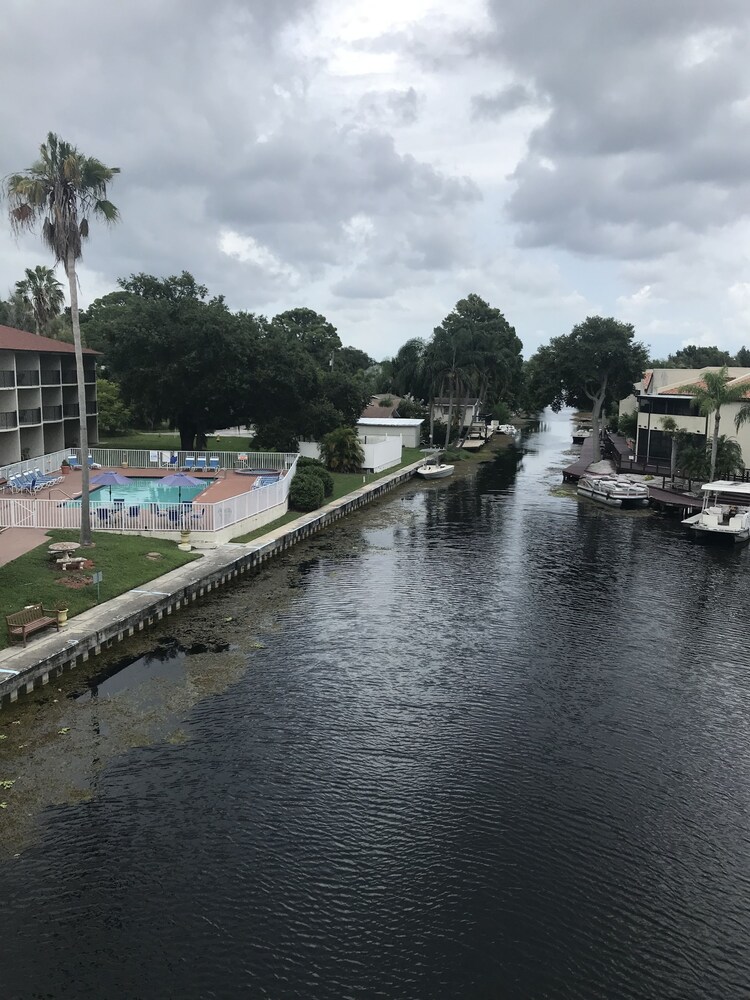 Vista Inn Lake Tarpon - photo 27