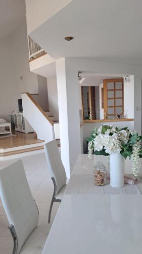 Apartment Anadora