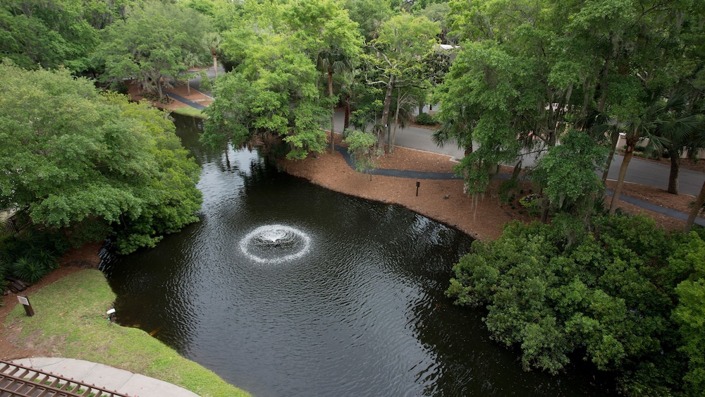 Holiday Inn Express Hilton Head Island by IHG - photo 79