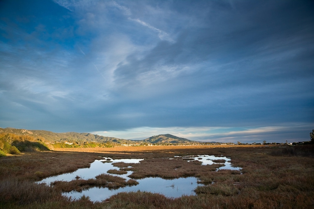 Holiday Inn Express & Suites Carpinteria by IHG - photo 46