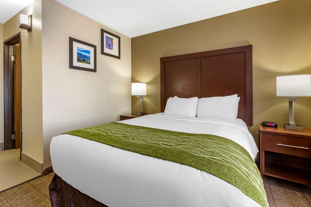 Comfort Inn & Suites Alameda at Albuquerque Balloon Fiesta Park - photo 12