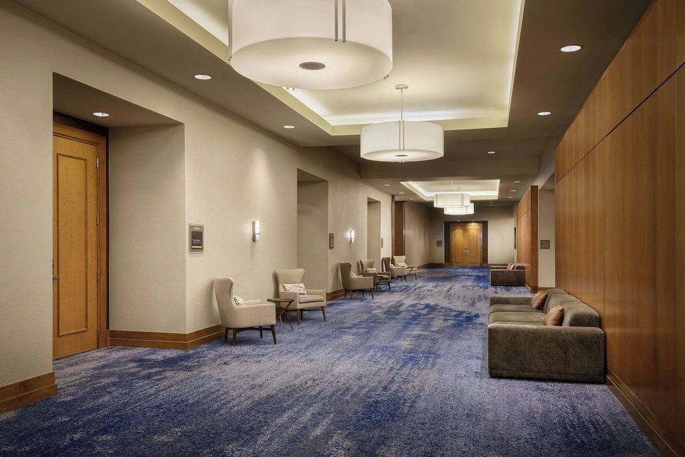 The Westin Austin at The Domain - photo 125