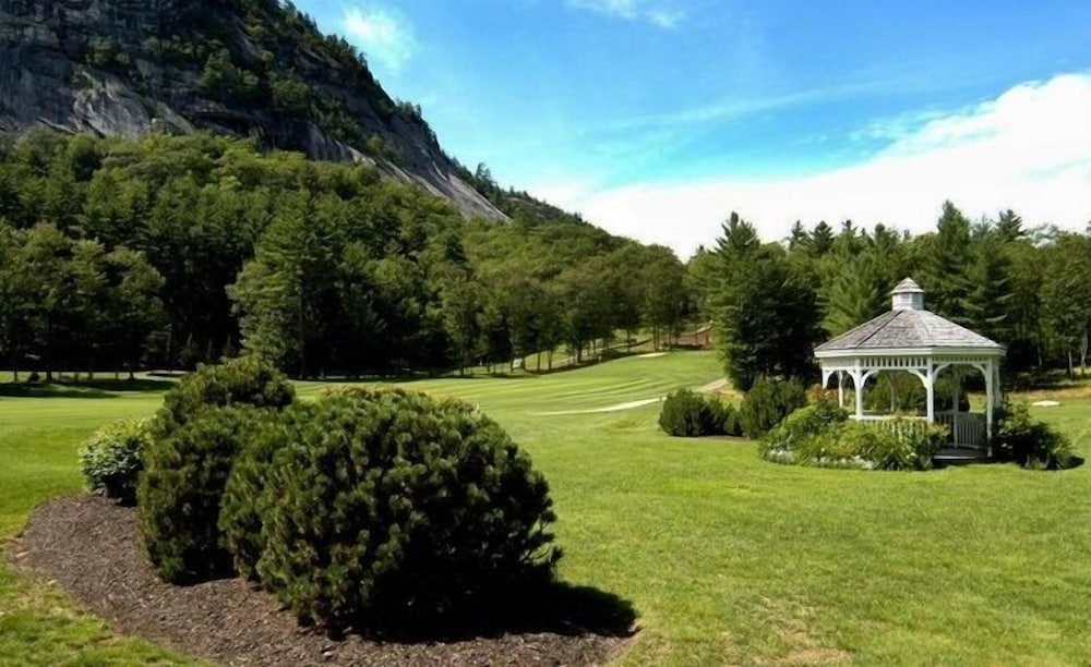 The White Mountain Hotel & Resort - photo 38