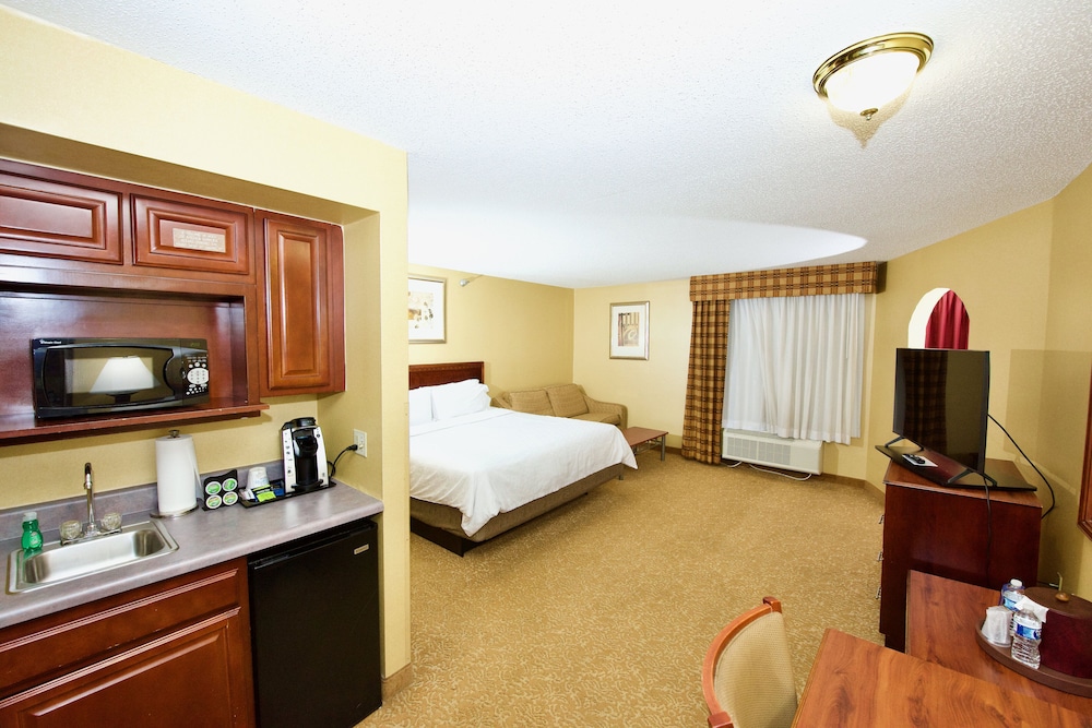 Holiday Inn Express & Suites St. Louis West Fenton by IHG - photo 20