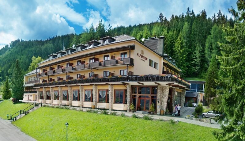 Alpenhof Hotel — hotel in Spital Am Semmering