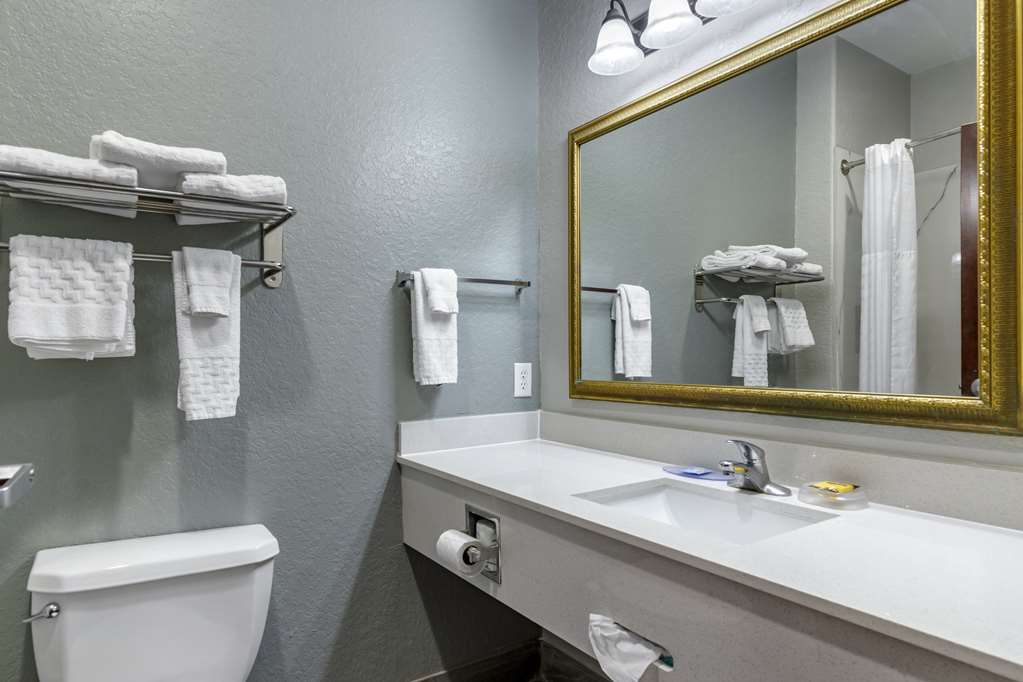 Best Western Plus Victoria Inn & Suites - photo 13