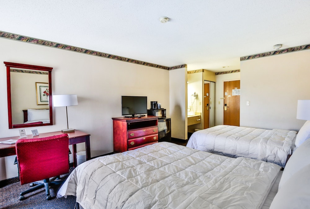 The View Inn & Suites - photo 7