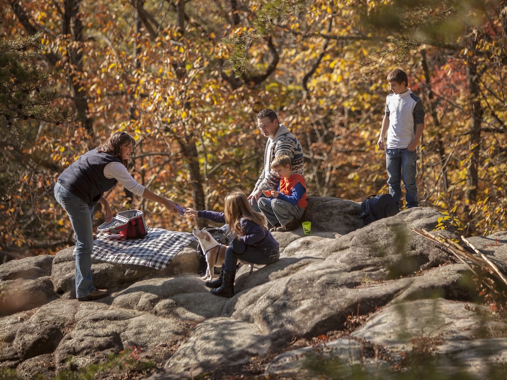 Pine Mountain State Resort Park - photo 49