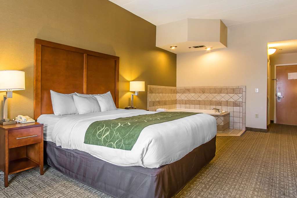 Comfort Suites Richmond - photo 26
