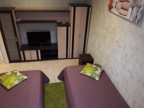 Sputnik - carbon neutral hotel in Kamyshlov