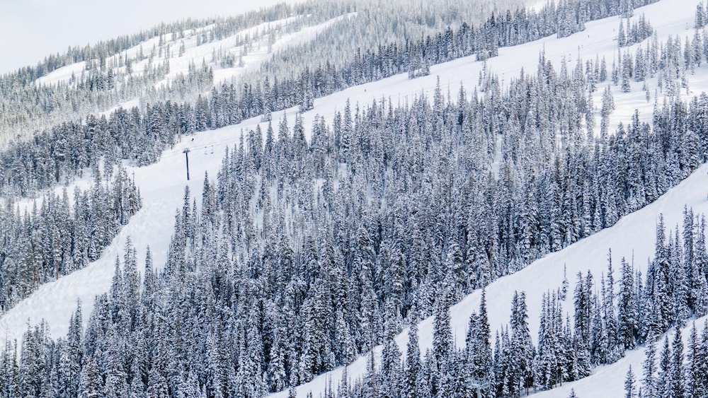 The Innsbruck Aspen by Frias - photo 12