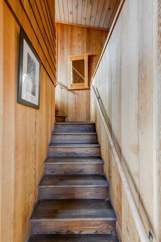 Sibley - photo 20