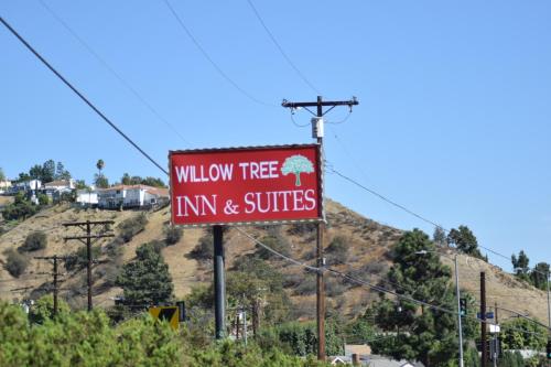 Willow Tree Inn & Suites - featured photo