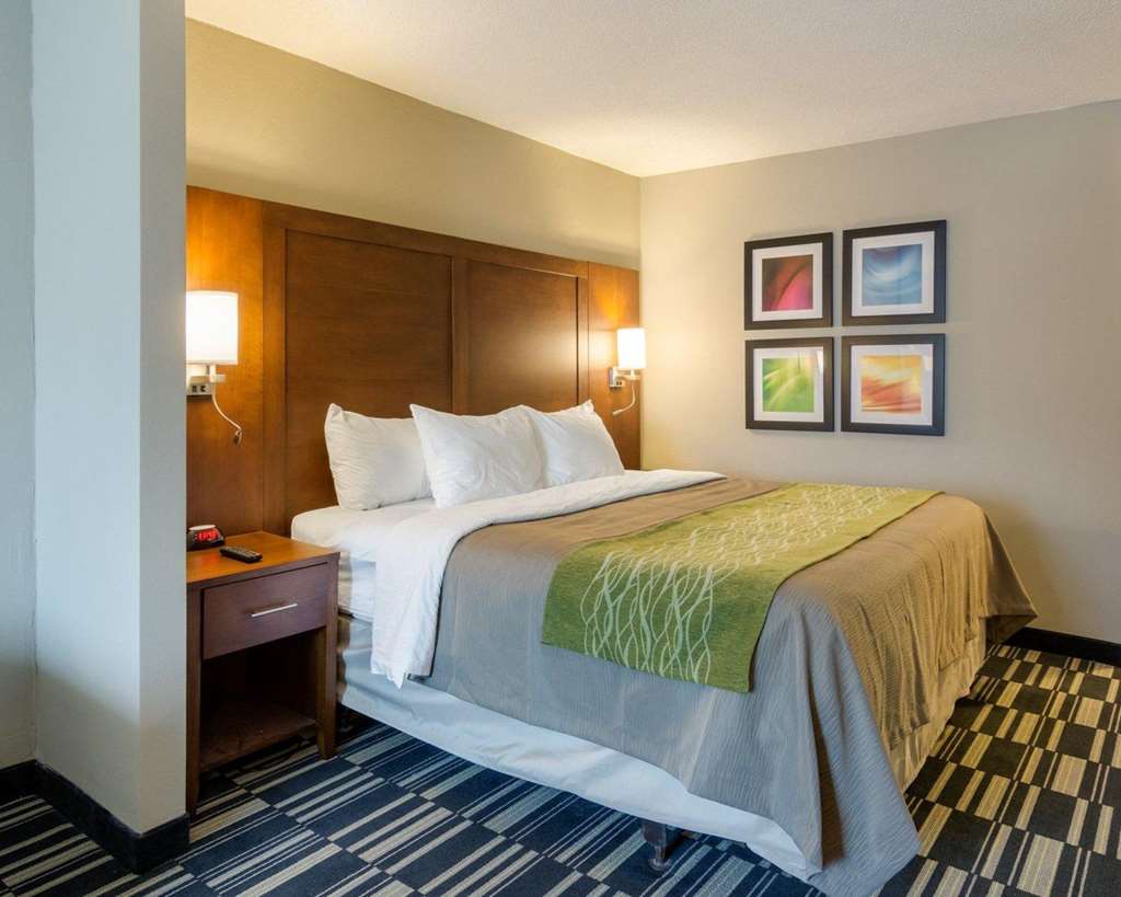 Quality Inn & Suites Ashland near Kings Dominion - photo 16