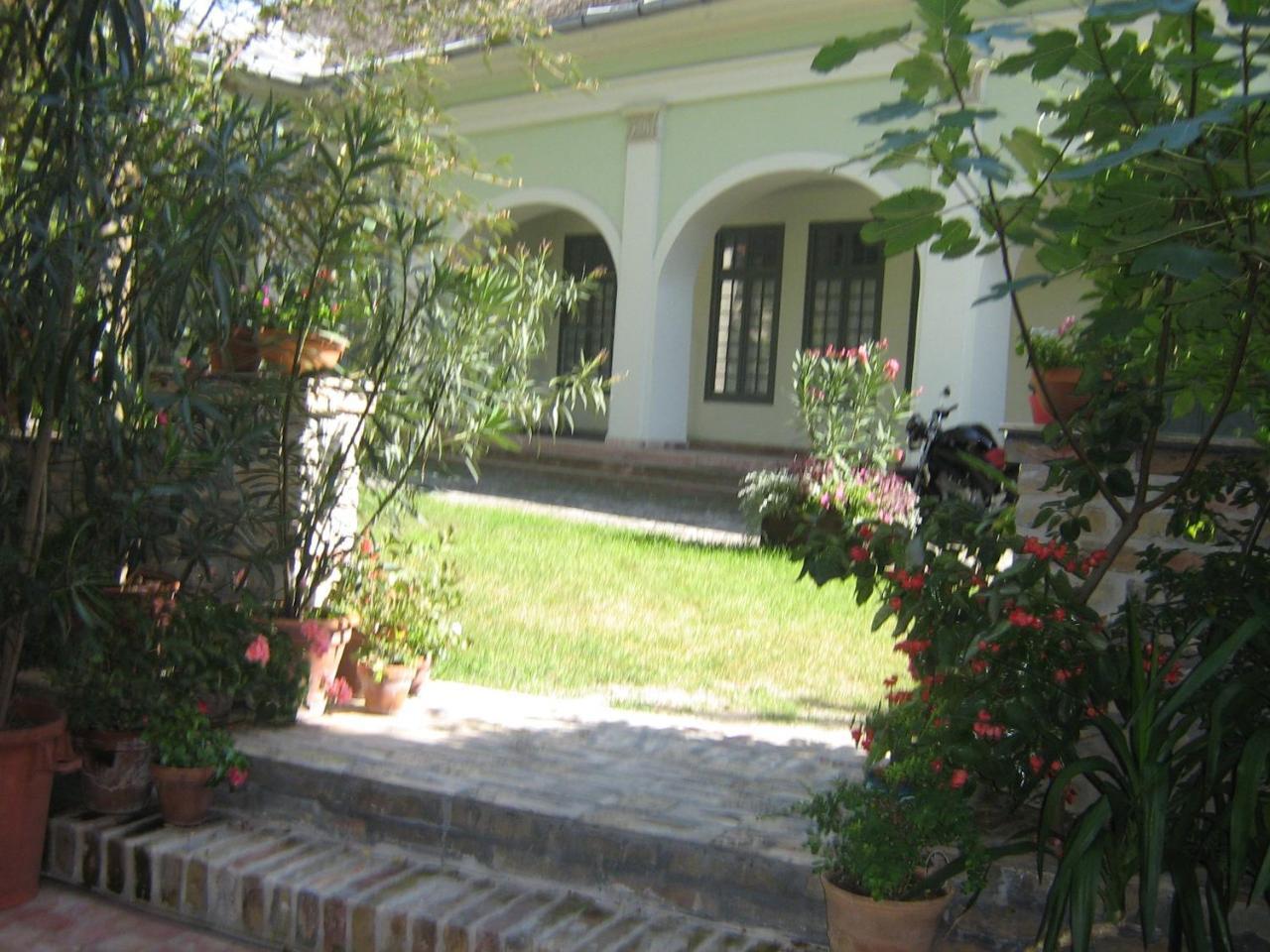 Gimi Vendeghaz — Baja — photo 4