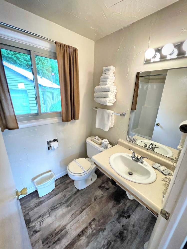 Alger Falls Motel - photo 10