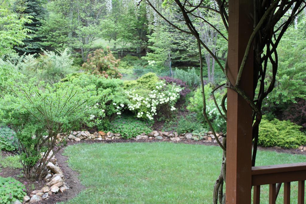 Mountain Song Inn - photo 7