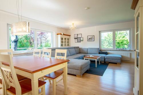 Großer Strandläufer in Grossenbrode, Germany