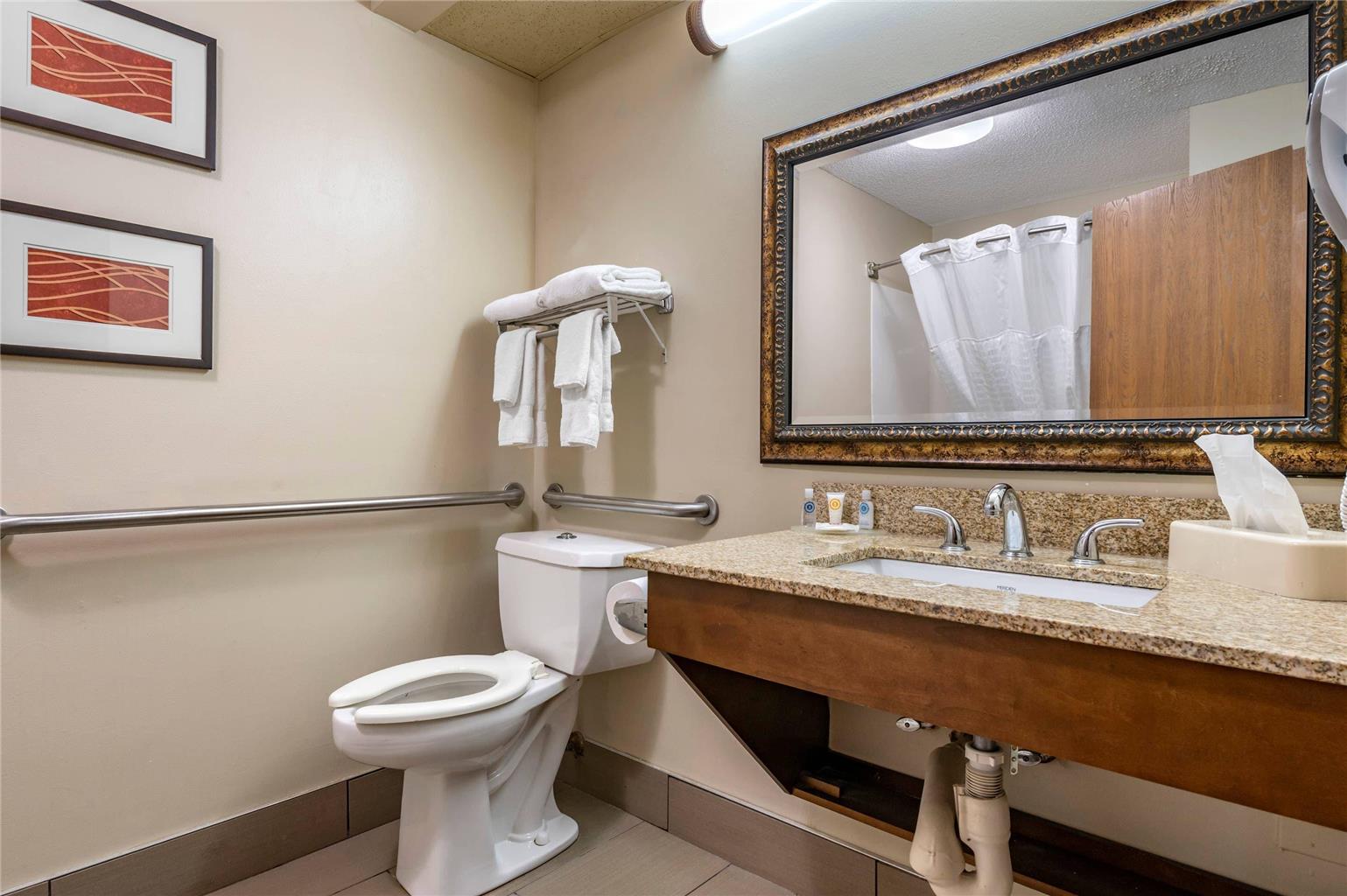 Comfort Inn Lexington I 75 - photo 16
