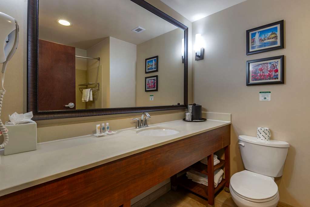 Comfort Suites Huntersville near Lake Norman - photo 37