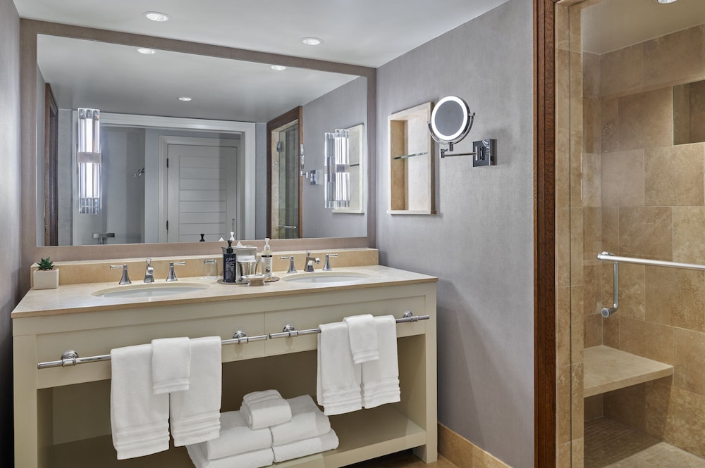 The St. Regis Aspen Resort - photo 100