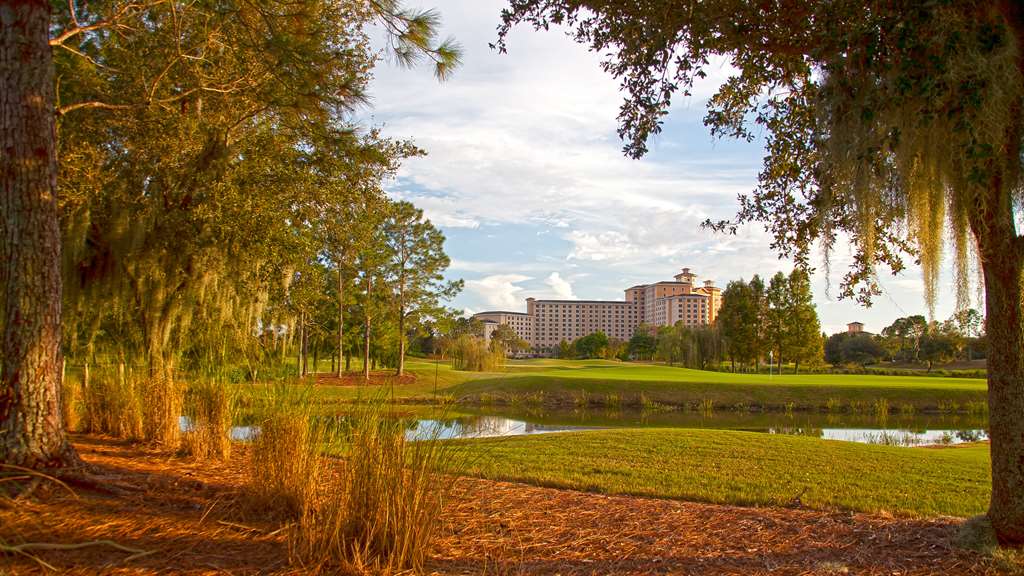 Rosen Shingle Creek - photo 93