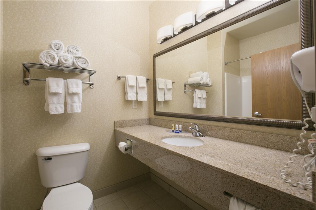 Best Western Plus Blaine at the National Sports Center - photo 61