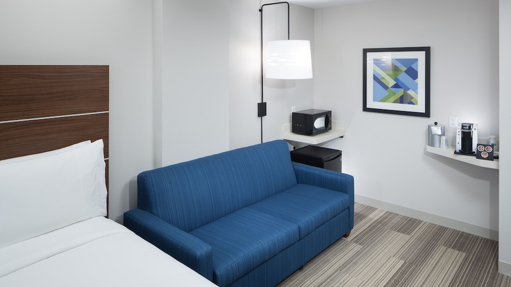 Holiday Inn Express & Suites Orlando at SeaWorld by IHG - photo 27