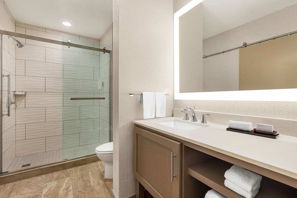 Embassy Suites by Hilton Round Rock - photo 22