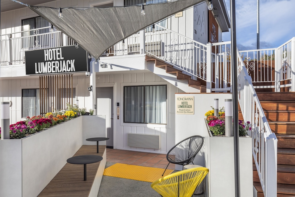 The Lumberjack Hotel - photo 2