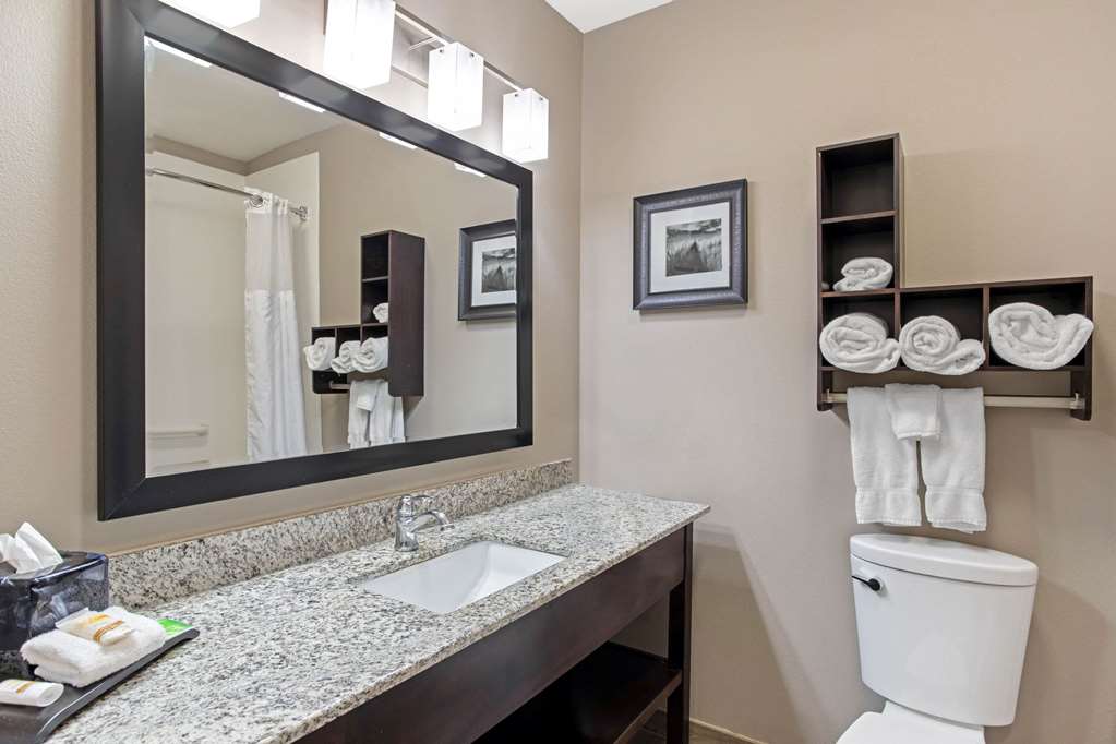La Quinta Inn & Suites by Wyndham Paducah - photo 30