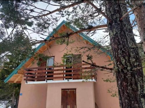 Wild Peace in Zabljak, Montenegro