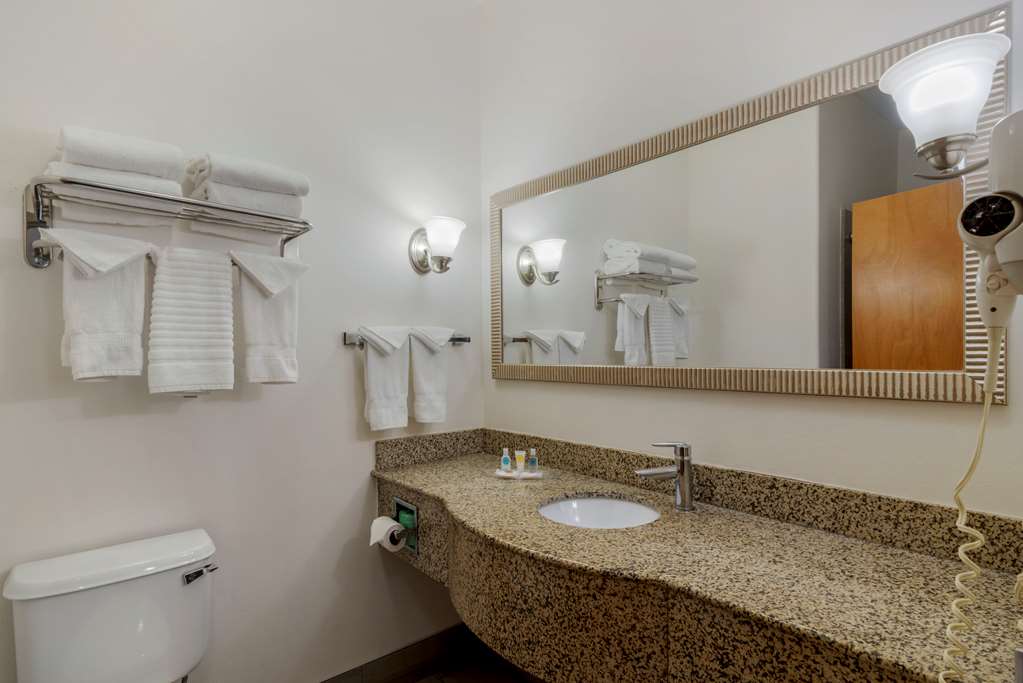 Comfort Suites Stockbridge Atlanta South - photo 7