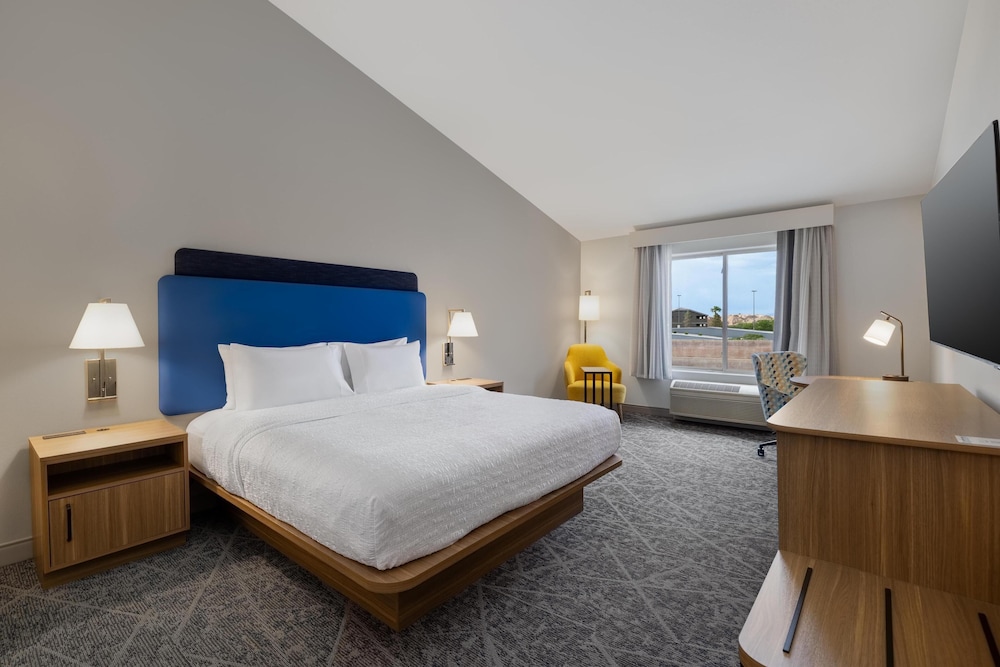 Hampton Inn & Suites by Hilton Mesquite - photo 19