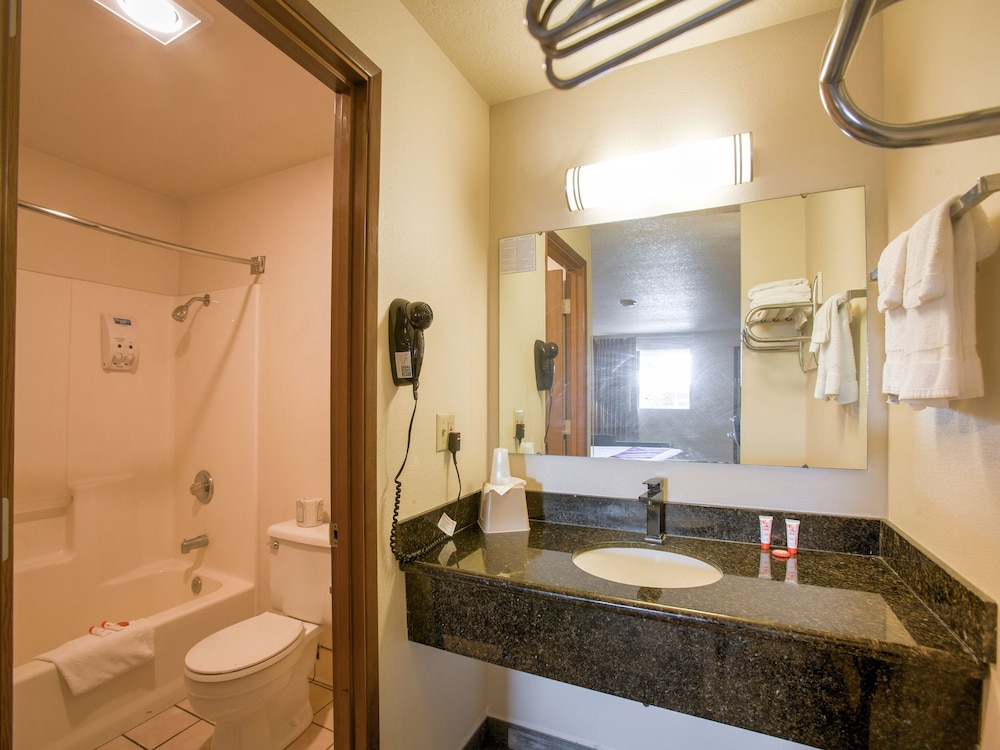 OYO Woodland Hotel and Suites - photo 25