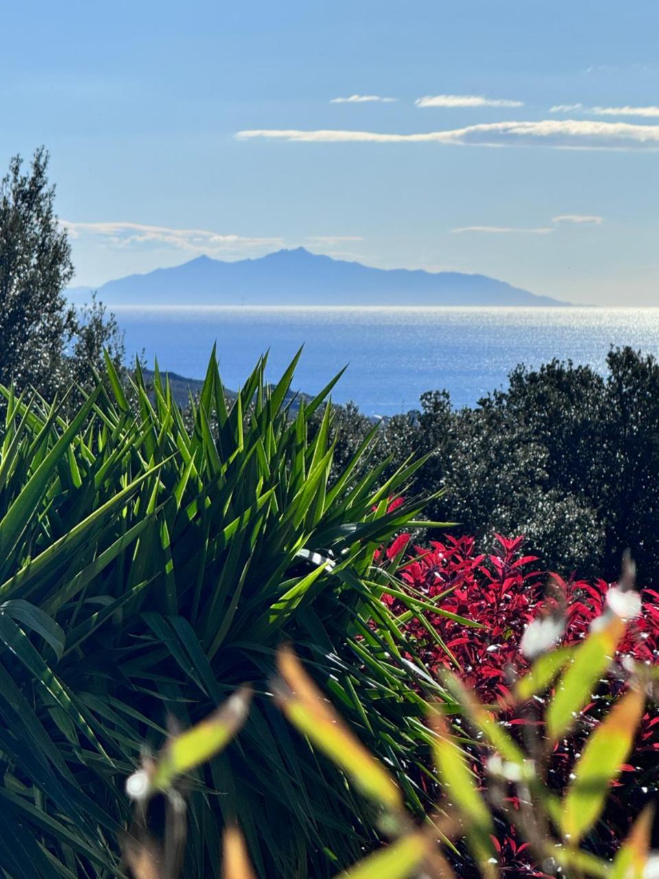 Gite Independant Dans Villa Entre Mer Et Maquis — 4-Star Luxury Hotel in Sisco, France
