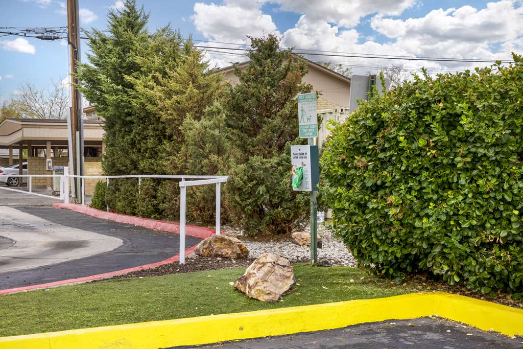 Best Western Fallon Inn & Suites - photo 47
