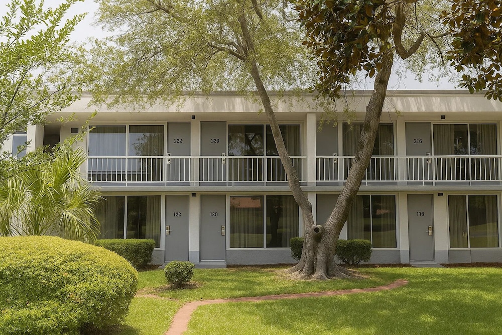 Oneway Savannah - photo 24