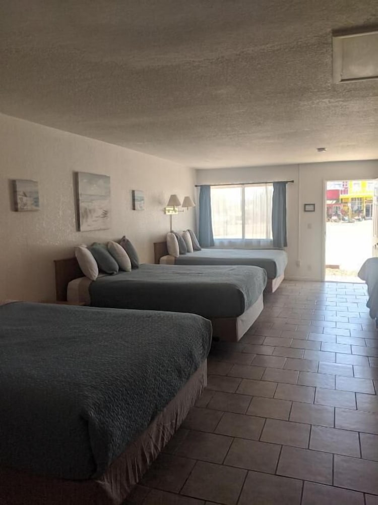 Little Daisy Motel - photo 3