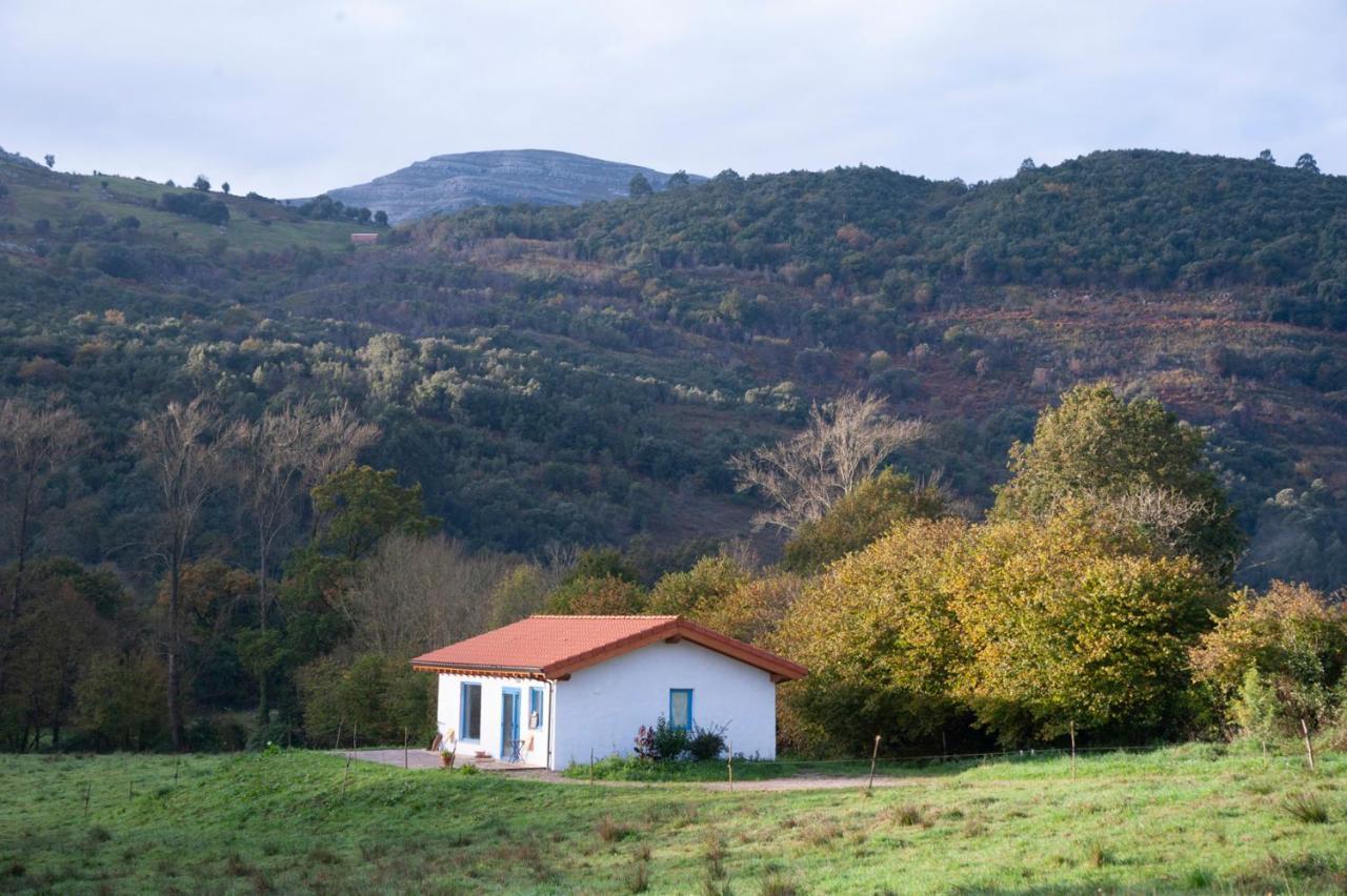 La Madriguera Azul - last minute hotel in Unknown City