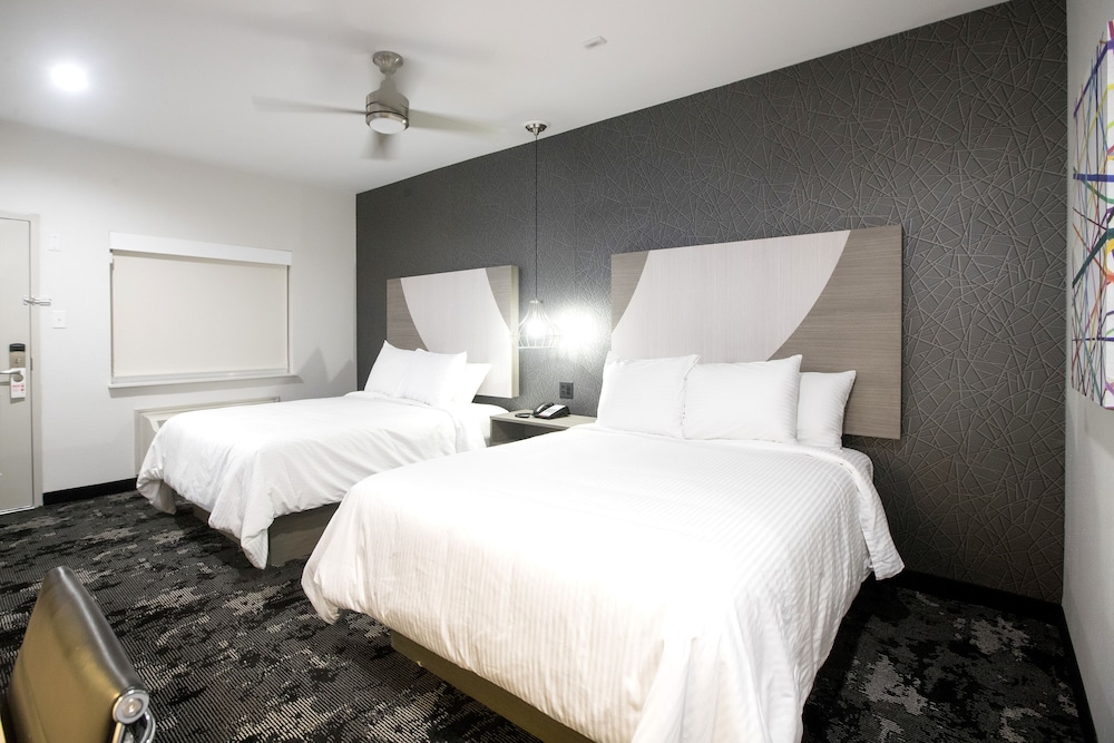 House Hotel - photo 10