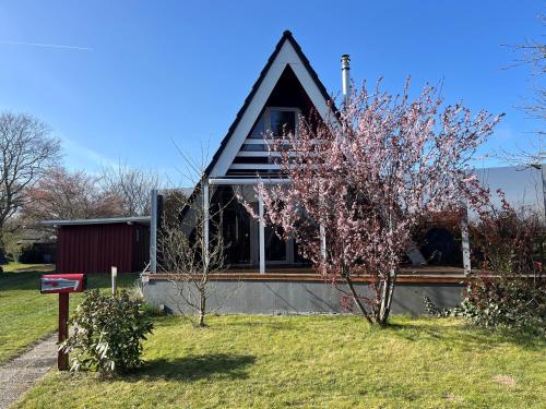 Schleimöwe - carbon neutral hotel in Unknown City