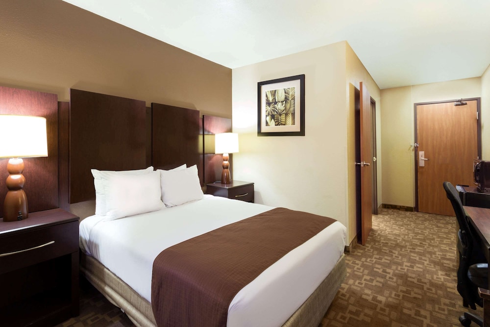 Rodeway Inn & Suites Chandler Phoenix South I 10 - photo 5