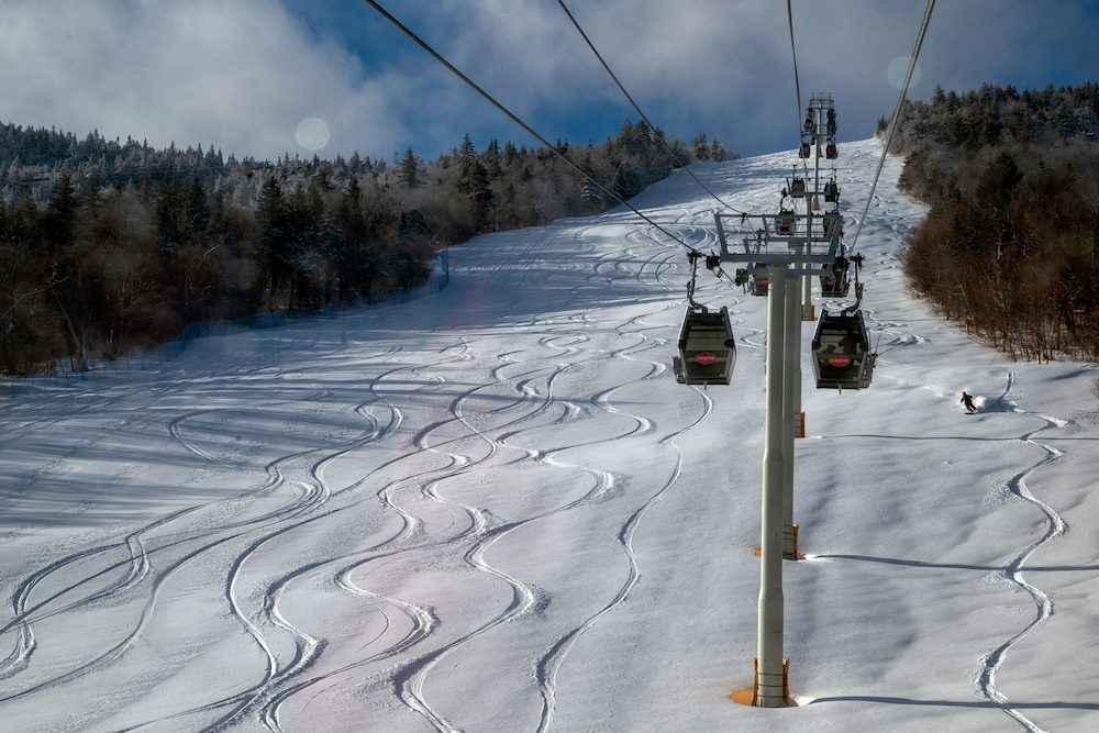 The Black Bear Lodge at Stratton Mountain Resort - photo 29