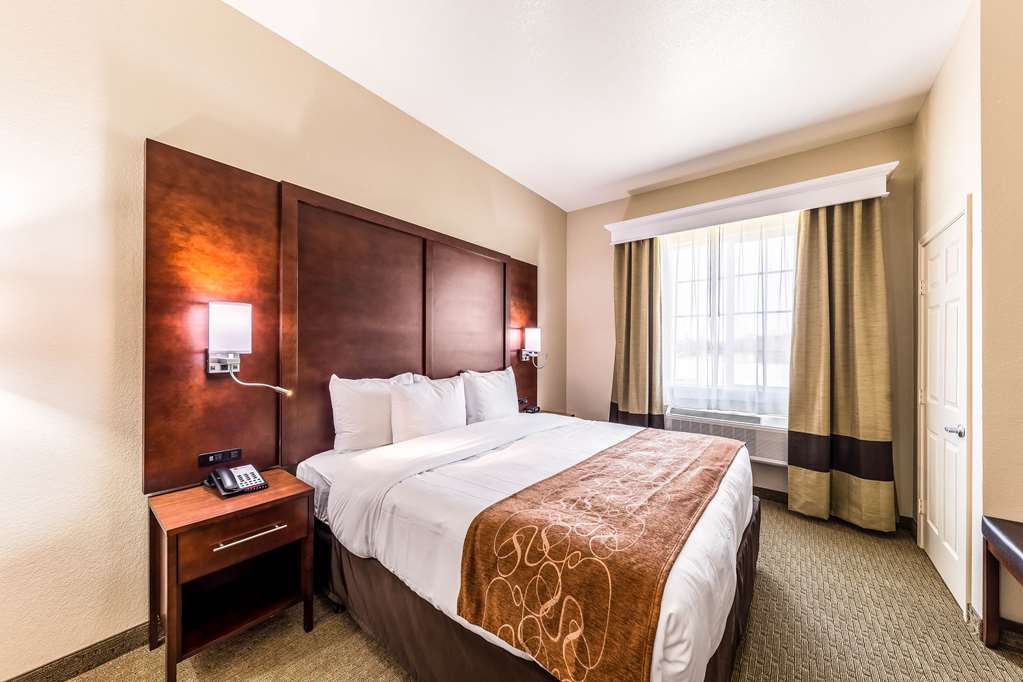 Comfort Suites Grand Prairie Arlington North - photo 26