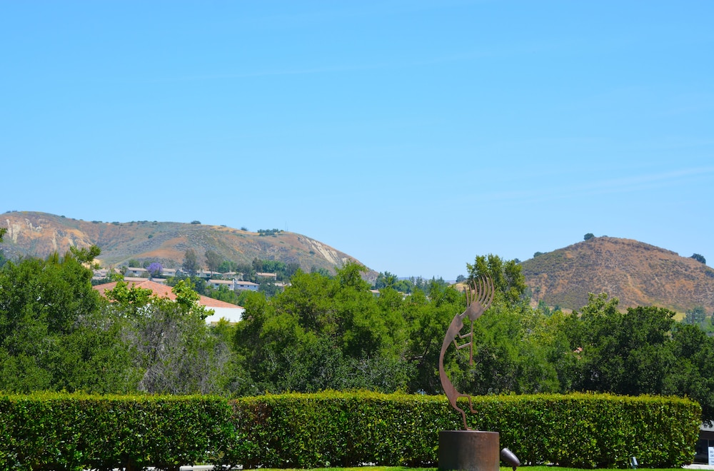 Sheraton Agoura Hills Hotel - photo 41